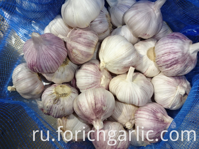 Best Quality Normal Garlic 2019